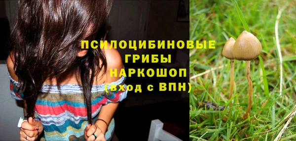 spice Белоозёрский